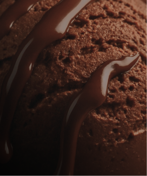 Chocolate ice cream and chocolate sauce