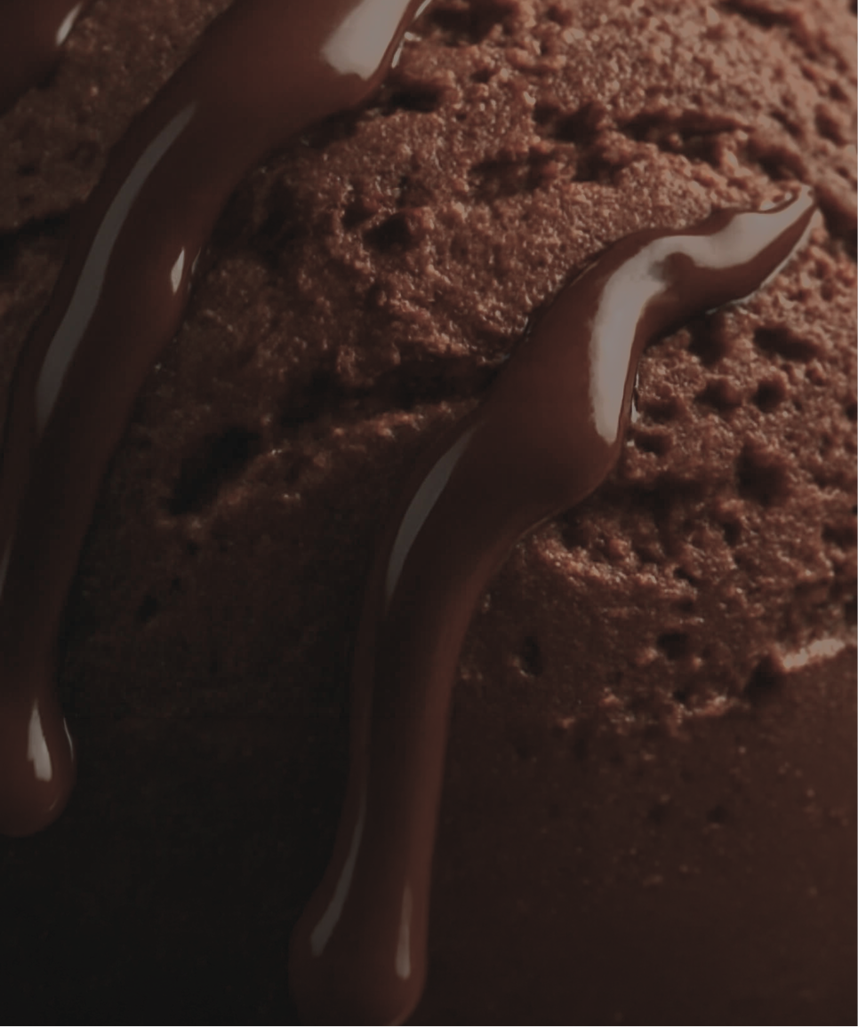Chocolate ice cream and chocolate sauce